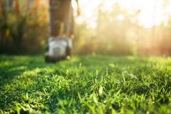 Jardinier-service-a-la-personne Cergy Pontoise